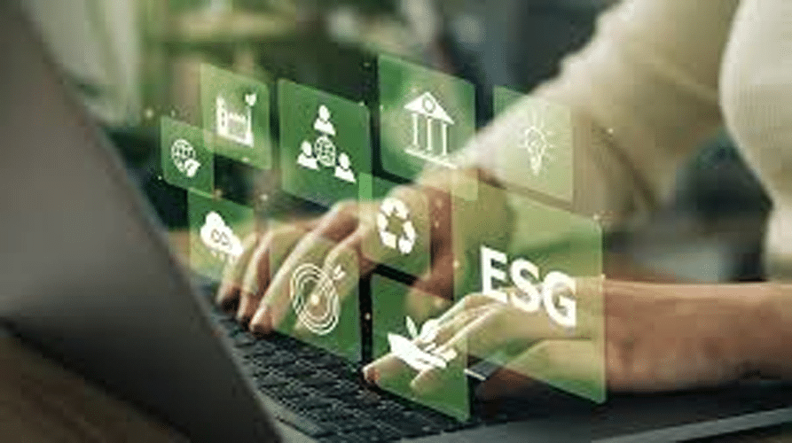 ESG Rating Providers (ERPs)