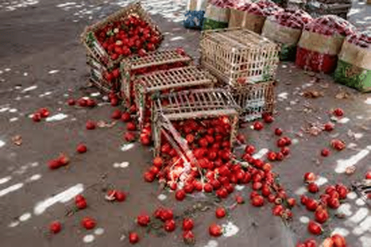 food wastage in supply chain