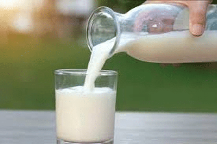 plant-based dairy alternatives